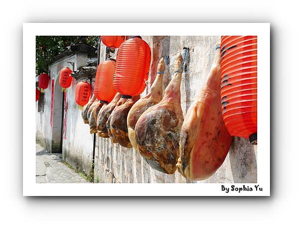 batch_P1070745.JPG batch_P1070745.JPG