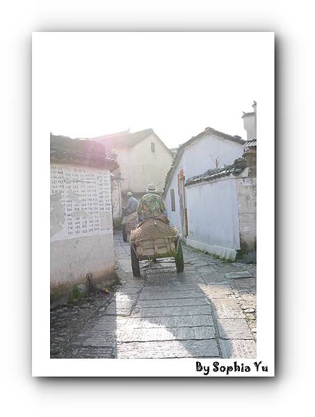 batch_P1070684.JPG batch_P1070684.JPG