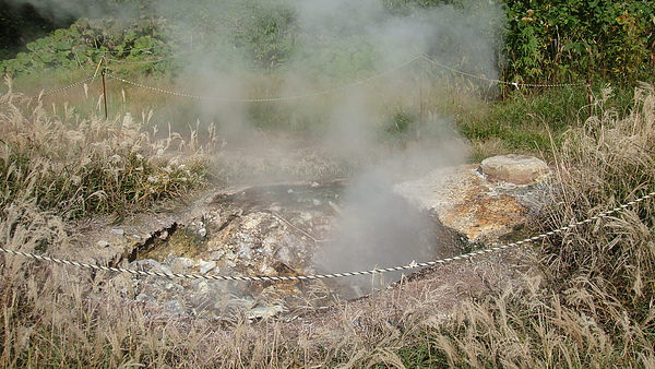 20100920東川町 037.jpg