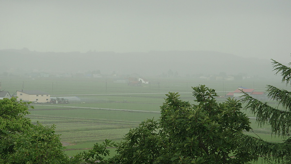 20100710東川町 016.jpg