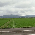 20100702東川町 013.jpg