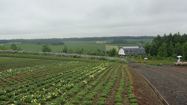 20100710東川町 087.jpg