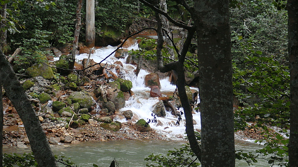 20100920東川町 077.jpg