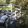 20101002東川町 074.jpg