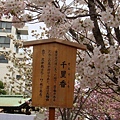 20110415in寶塚 004.jpg