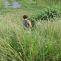 20100702東川町 043.jpg