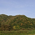 20101002東川町 078.jpg