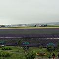 20100710東川町 061.jpg