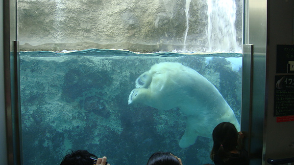 20100818東川町 035.jpg