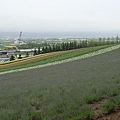 20100710東川町 044.jpg