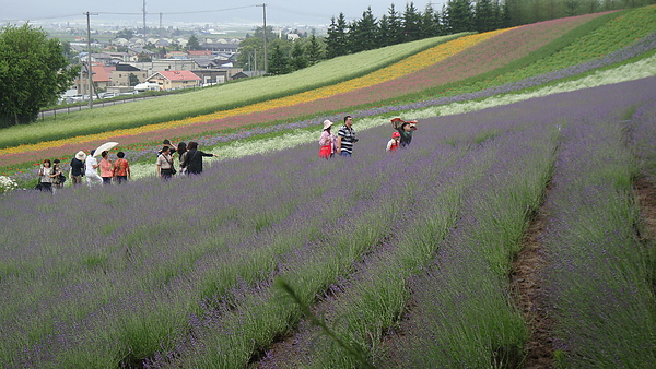 20100710東川町 018.jpg