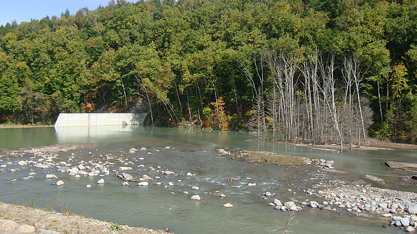 20101002東川町 016.jpg