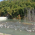 20101002東川町 016.jpg