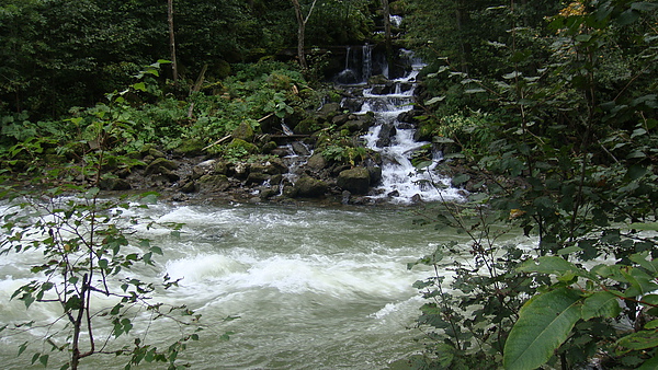 20100920東川町 073.jpg