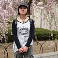 20110415in寶塚 031.jpg