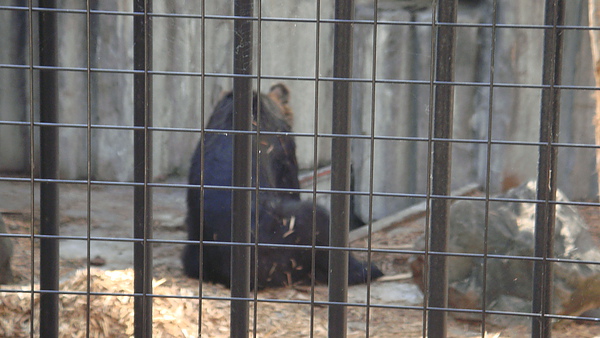 20100818東川町 061.jpg