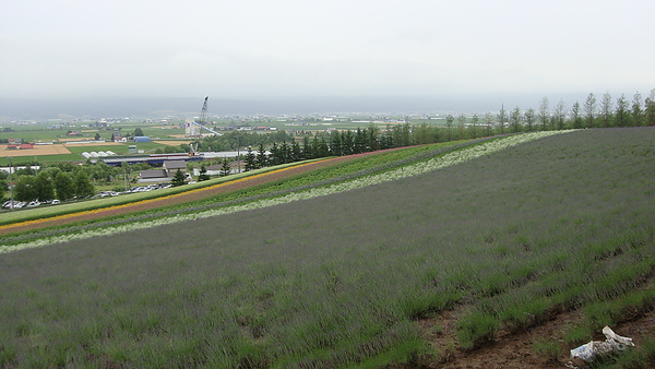 20100710東川町 044.jpg