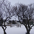 20101201東川町 039.jpg