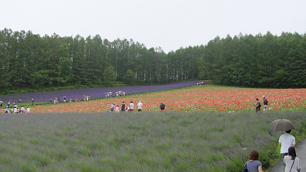 20100710東川町 020.jpg