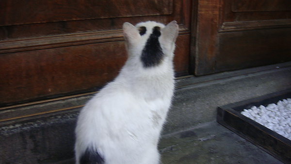 20100718東川町 078.jpg