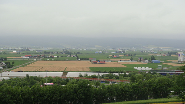 20100710東川町 026.jpg