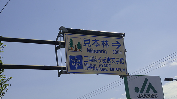 20100828東川町 001.jpg