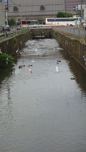 20100718東川町 050.jpg