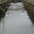 20100718東川町 050.jpg