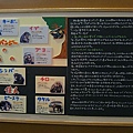 20100818東川町 019.jpg