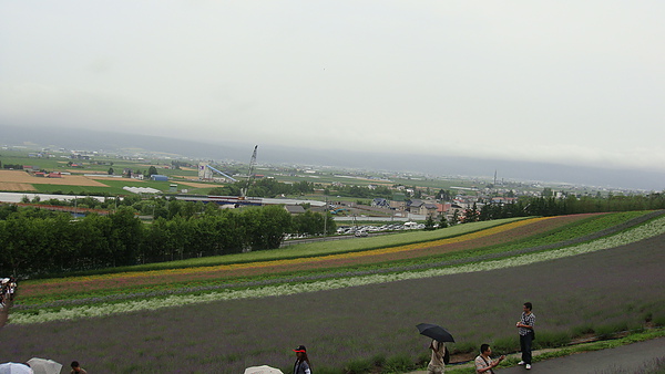 20100710東川町 021.jpg