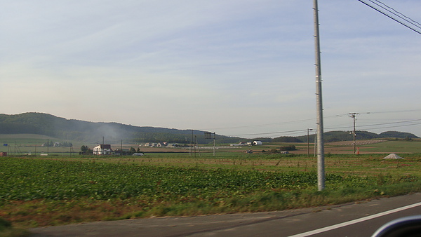 20101002東川町 082.jpg