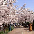 20110407in寶塚 014.jpg