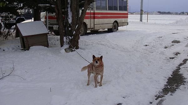 20101130東川町 007.jpg