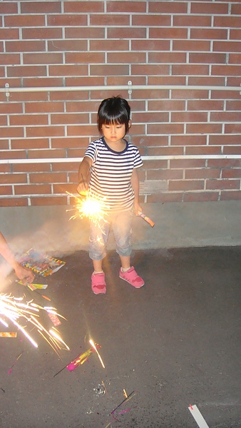 20100716東川町 012.jpg