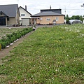 20100630東川町 017.jpg