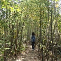 20101002東川町 029.jpg