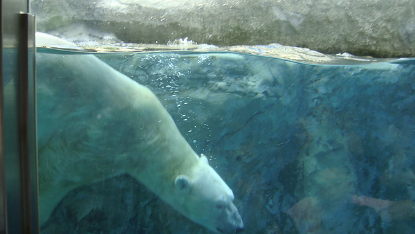 20100818東川町 034.jpg