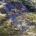 20101002東川町 070.jpg