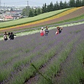 20100710東川町 018.jpg