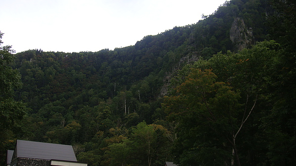 20100920東川町 061.jpg