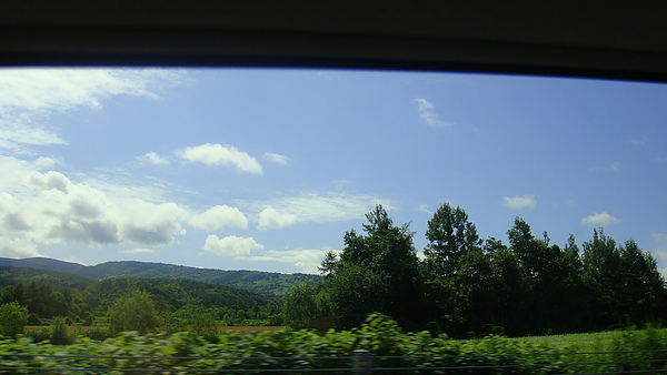 20100718東川町 014.jpg