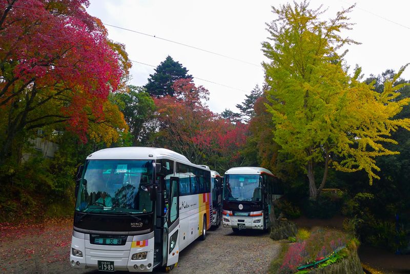 P1430564       東福寺_副本