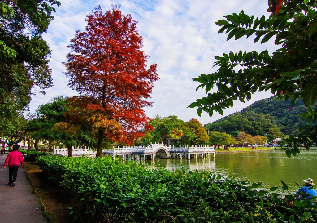 _MG_3949    碧湖公園_副本