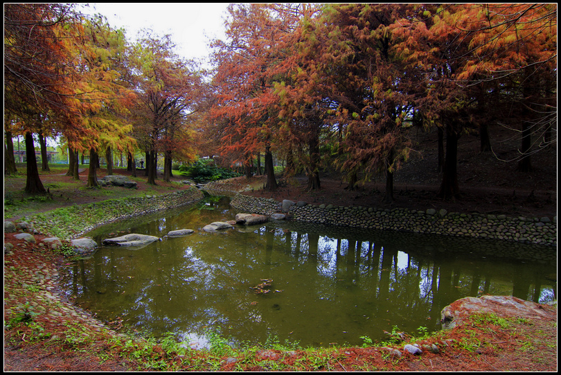 _MG_4980  羅東運動公園S