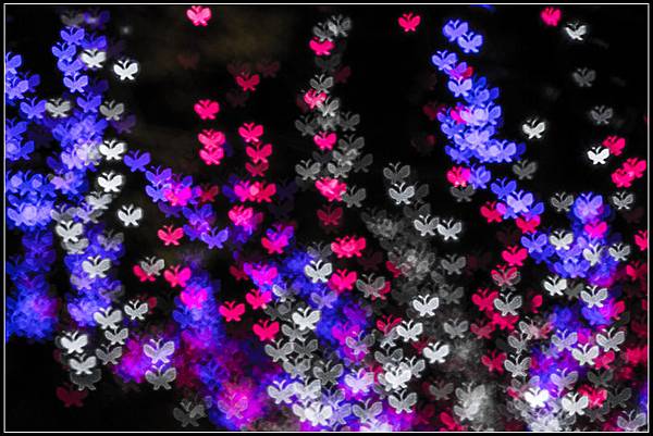 _MG_4310 W S _MG_4310 W S