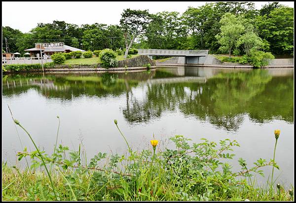 L2310531  大沼公園