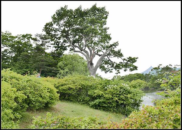 L2310536  大沼公園