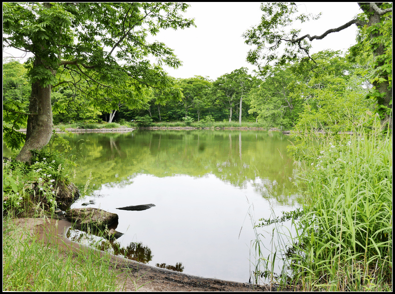 L2310523  大沼公園