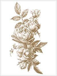 Anna Griffin Rose Motif