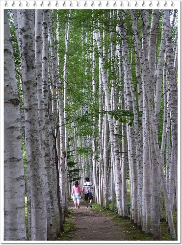 2011北海道之旅~拓真館03